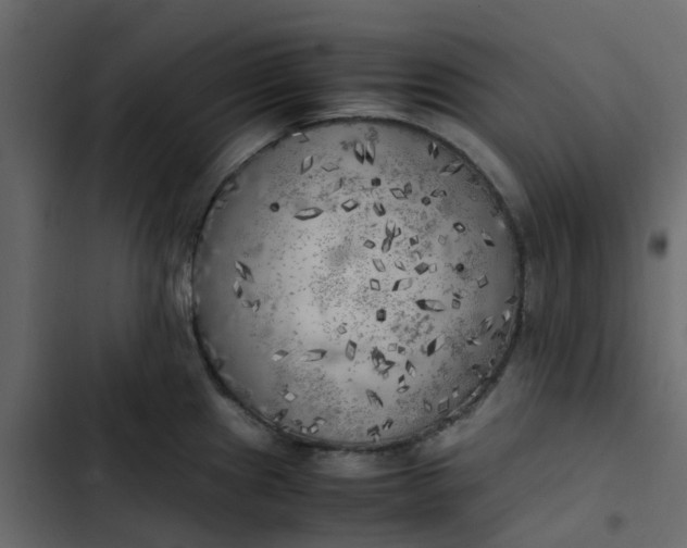 X0000102861241200809021417