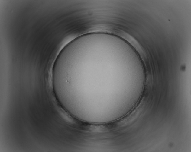 X0000102861242200809021417