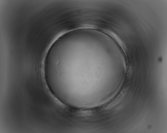 X0000102861243200809021417