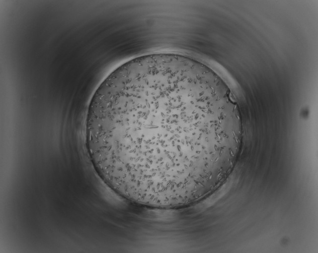 X0000102861244200809021417