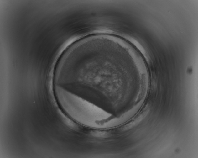 X0000102861245200809021417