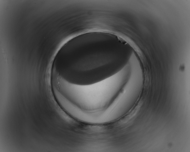 X0000102861246200809021417