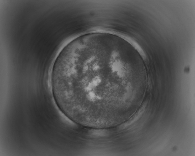 X0000102861247200809021417