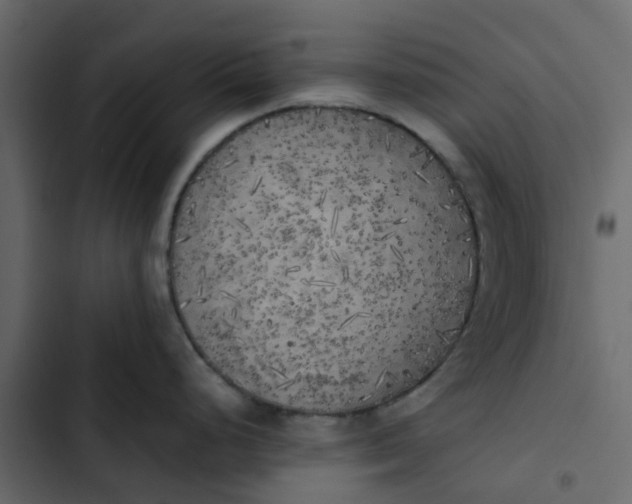 X0000102861248200809021417