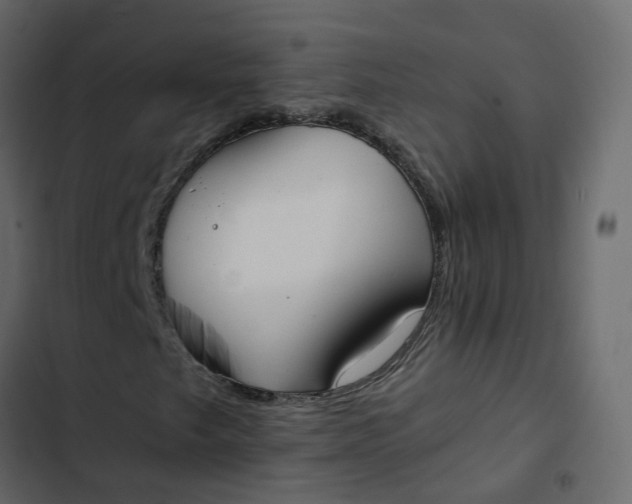 X0000102861249200809021416