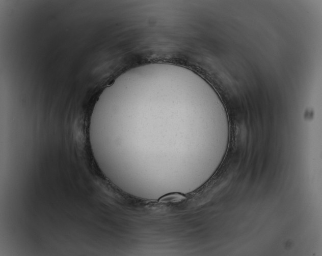 X0000102861250200809021416