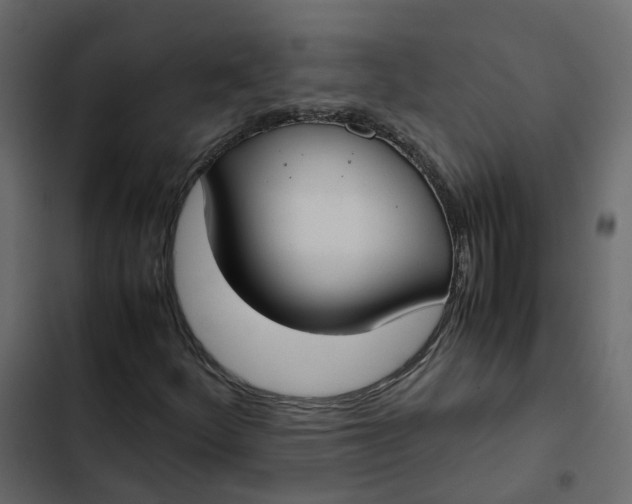 X0000102861252200809021416