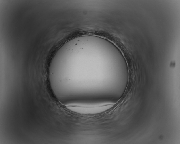 X0000102861253200809021416