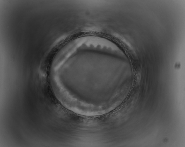 X0000102861254200809021416