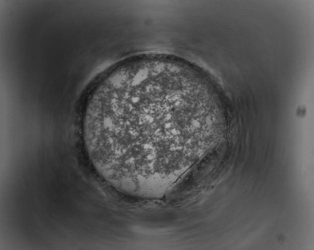 X0000102861255200809021416