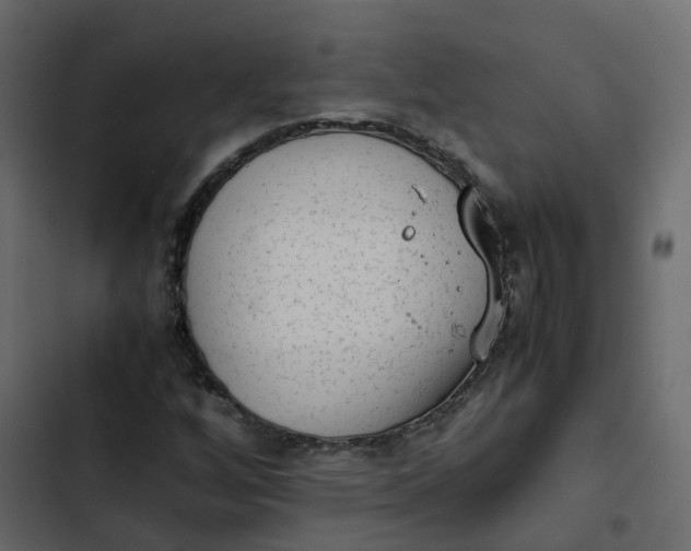 X0000102861256200809021416