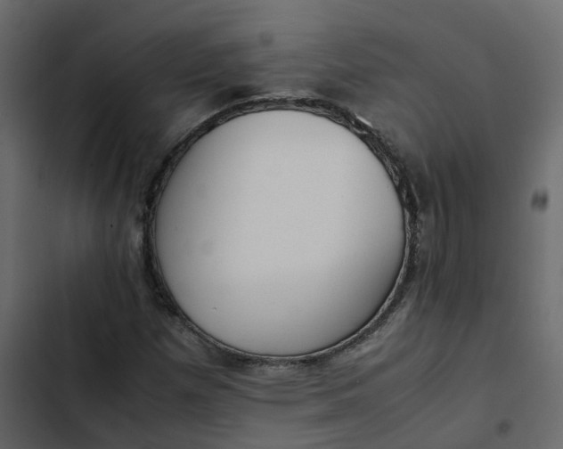 X0000102861257200809021416