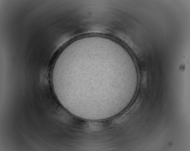 X0000102861258200809021416