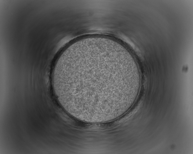 X0000102861259200809021416