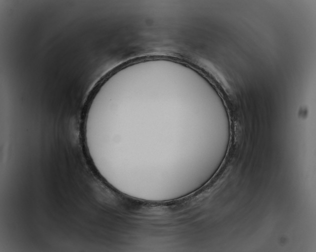 X0000102861260200809021416