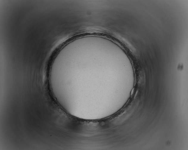 X0000102861261200809021416