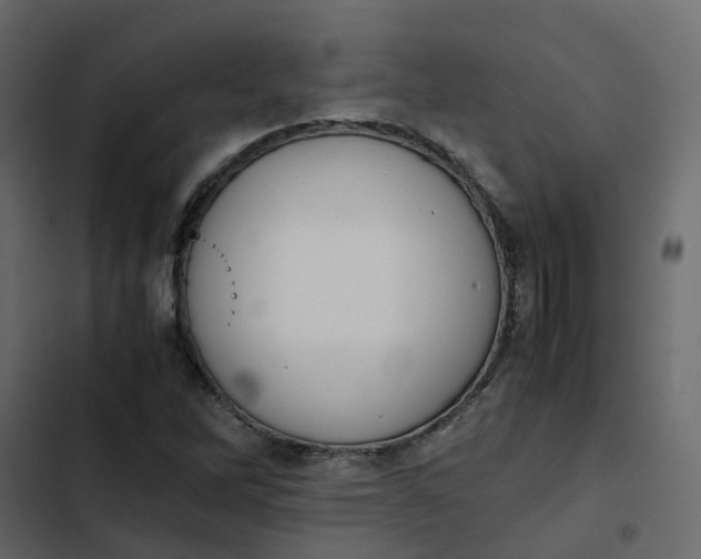 X0000102861262200809021416