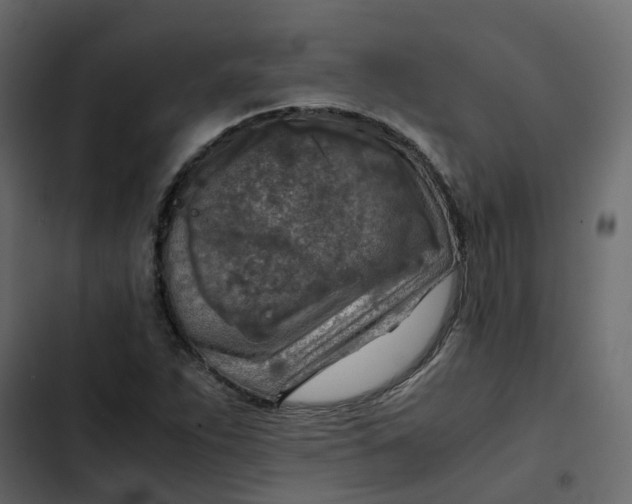 X0000102861263200809021416