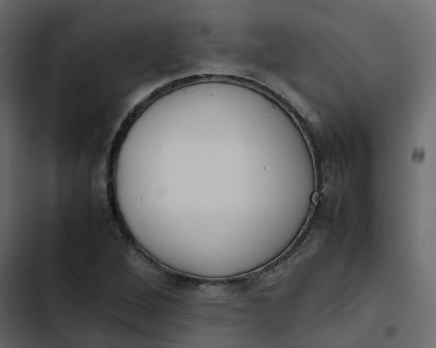 X0000102861264200809021416