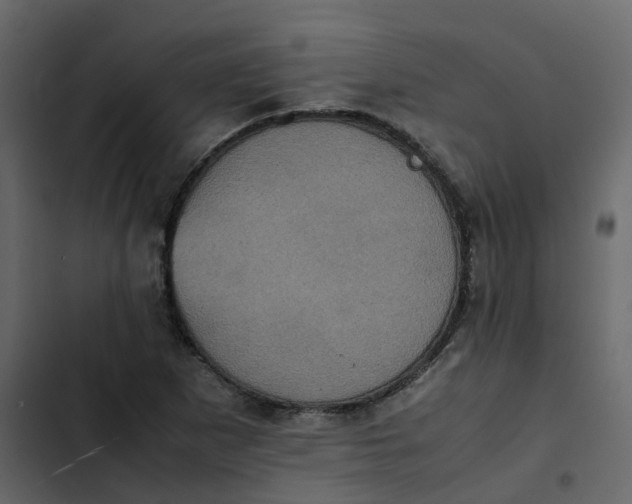 X0000102861265200809021416