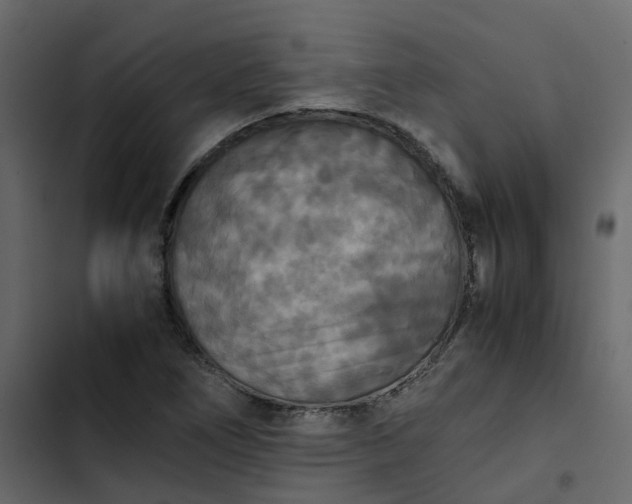 X0000102861266200809021416