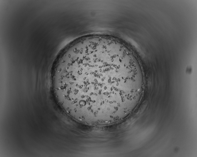 X0000102861267200809021416