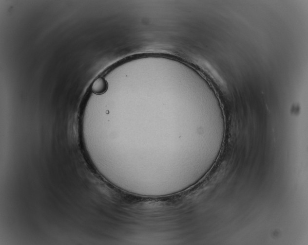 X0000102861268200809021416