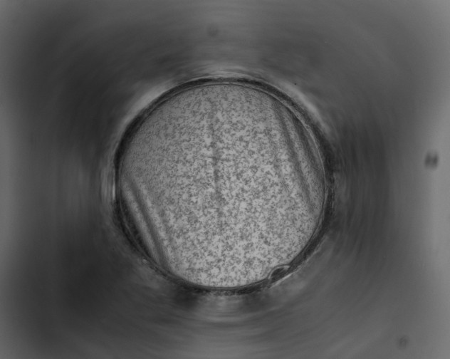 X0000102861269200809021416