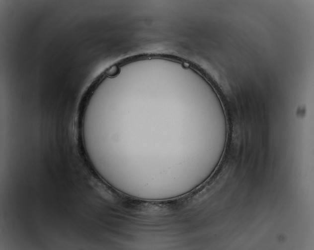 X0000102861270200809021416