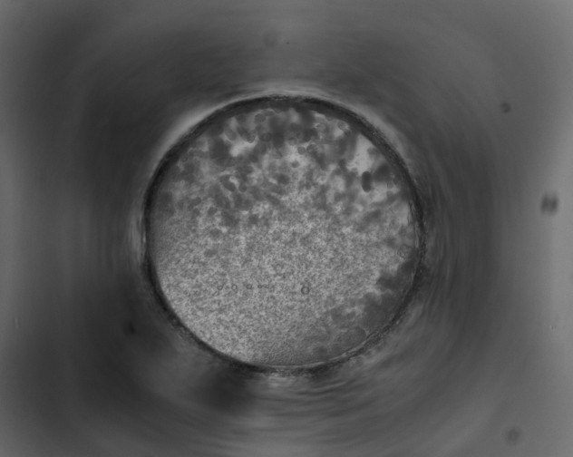 X0000102861271200809021416