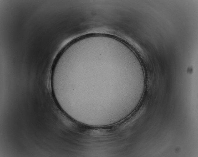 X0000102861272200809021416