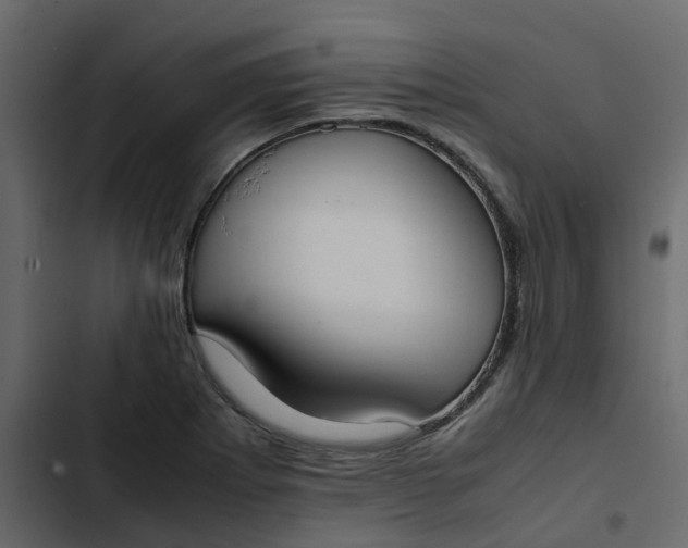 X0000102861273200809021416