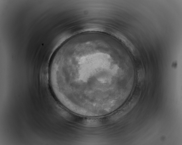 X0000102861274200809021416