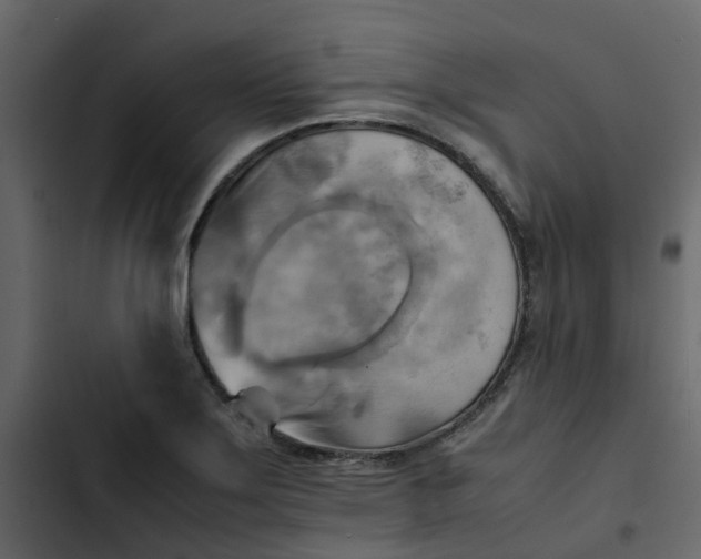 X0000102861275200809021416