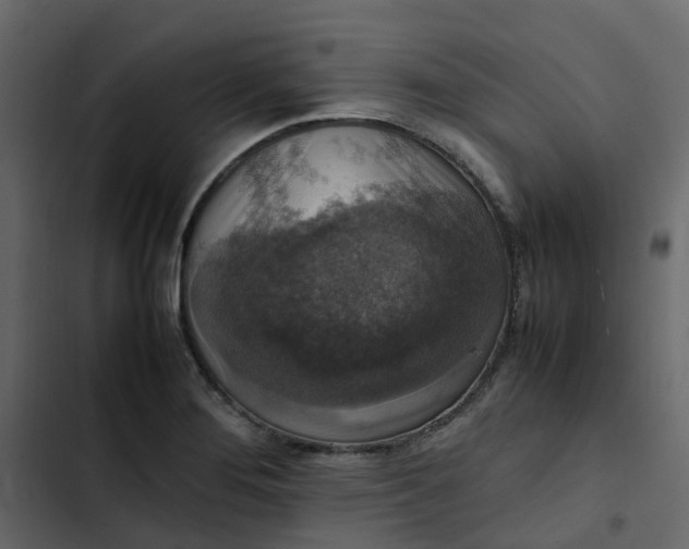 X0000102861276200809021416