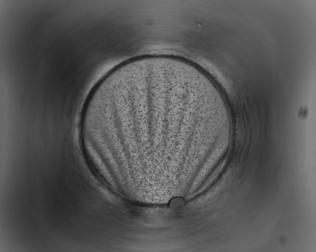 X0000102861277200809021416