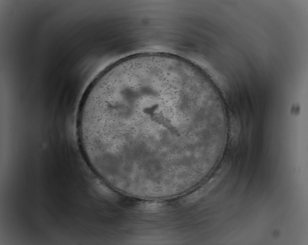 X0000102861278200809021416