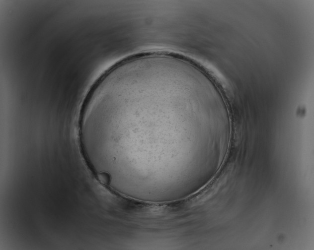 X0000102861279200809021416