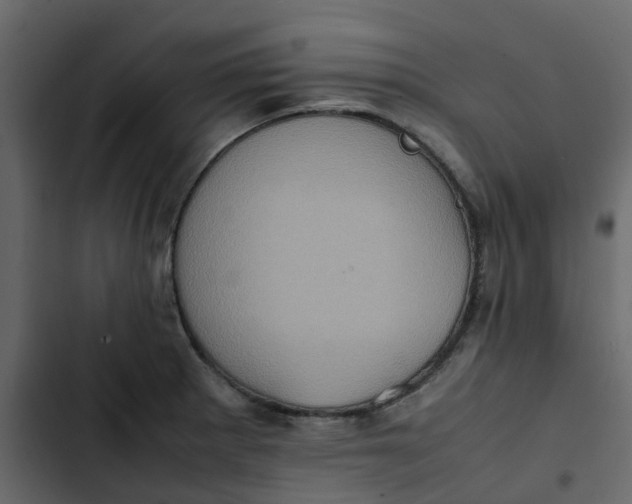 X0000102861281200809021416