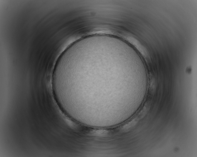 X0000102861282200809021416