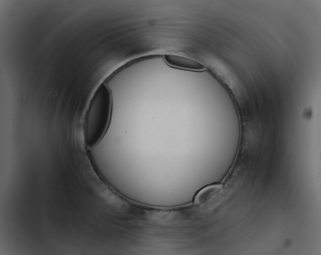 X0000102861284200809021416