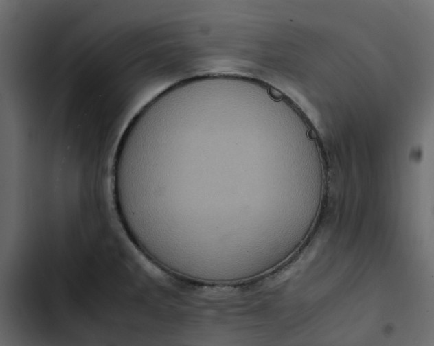 X0000102861285200809021416