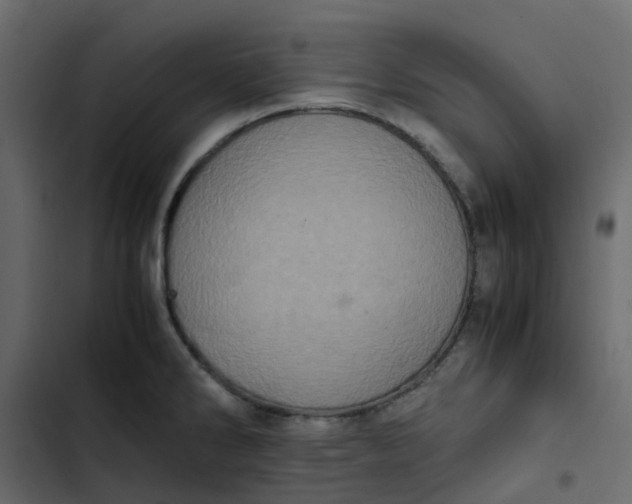 X0000102861286200809021416