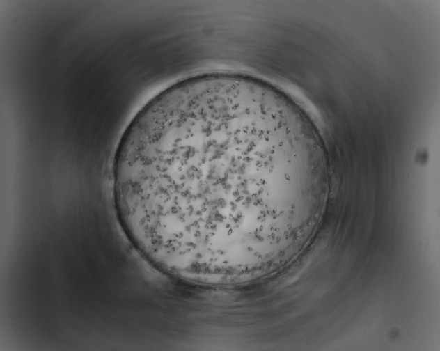 X0000102861287200809021416