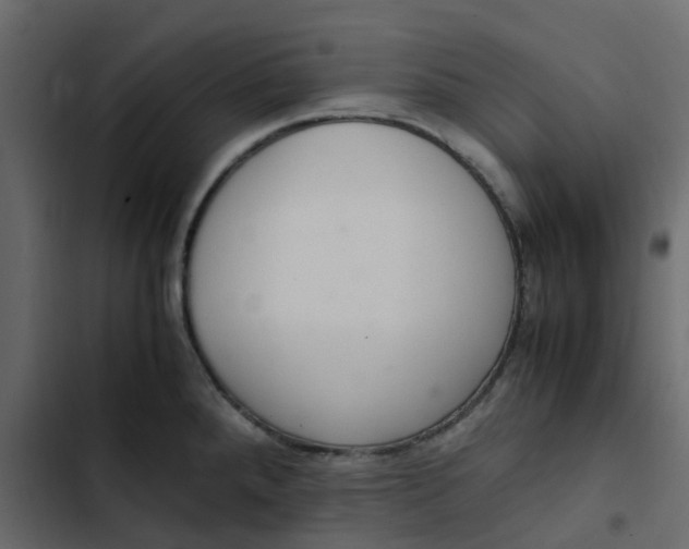 X0000102861288200809021416