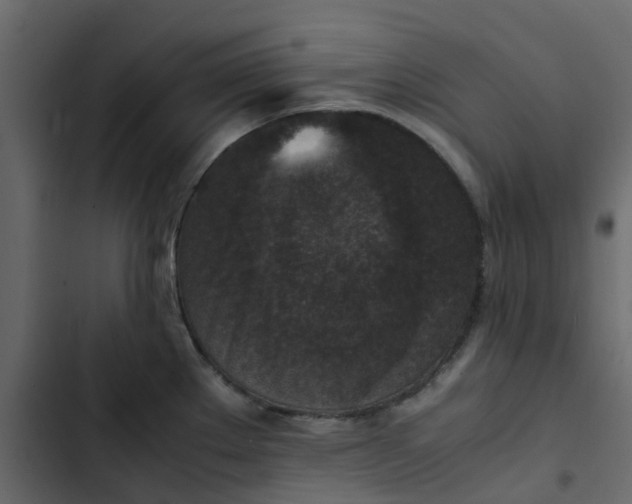 X0000102861289200809021416