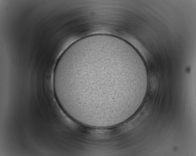 X0000102861290200809021416