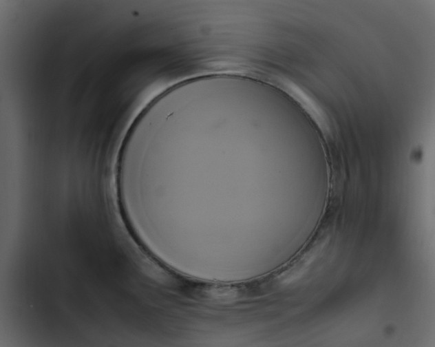 X0000102861291200809021416