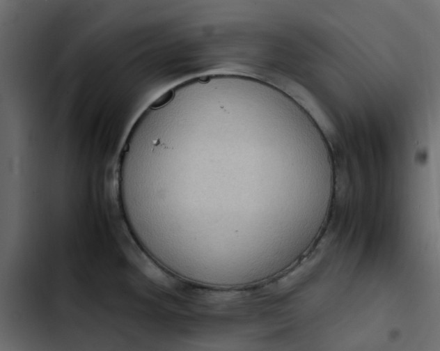 X0000102861292200809021416