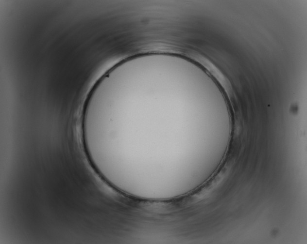 X0000102861293200809021416